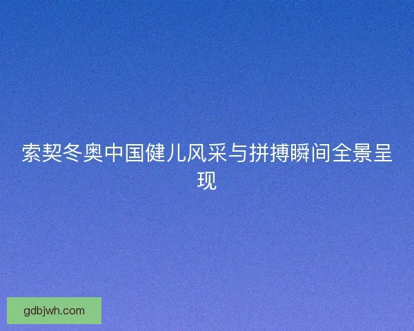 索契冬奥中国健儿风采与拼搏瞬间全景呈现