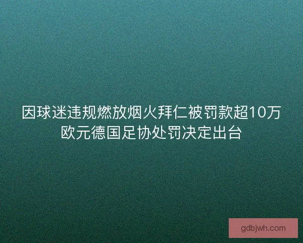 因球迷违规燃放烟火拜仁被罚款超10万欧元德国足协处罚决定出台 因球迷违规燃放烟火拜仁被罚款超10万欧元德国足协处罚决定出台