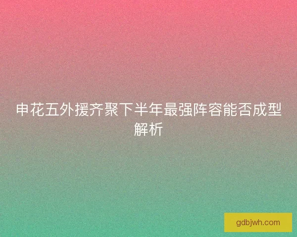 申花五外援齐聚下半年最强阵容能否成型解析 申花五外援齐聚下半年最强阵容能否成型解析